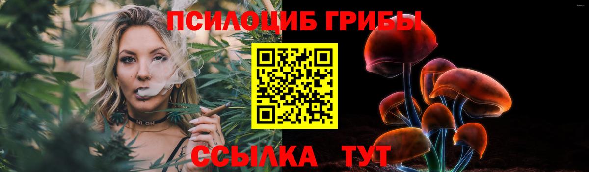 Галлюциногенные грибы мухоморы Бугуруслан